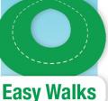 8 Easy Walking Trails Brochure